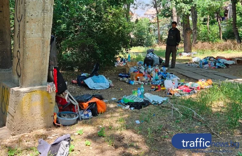 Природата в плен на боклука: Подножието на Младежкия хълм тъне в отпадъци