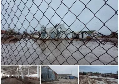 След като ЧСИ взе базата им: Нова финансова присъда за животновъди от Пловдивско