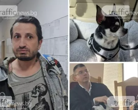 Връщат кучето Мауси на собственика, съдът отмени и глобата на мъжа