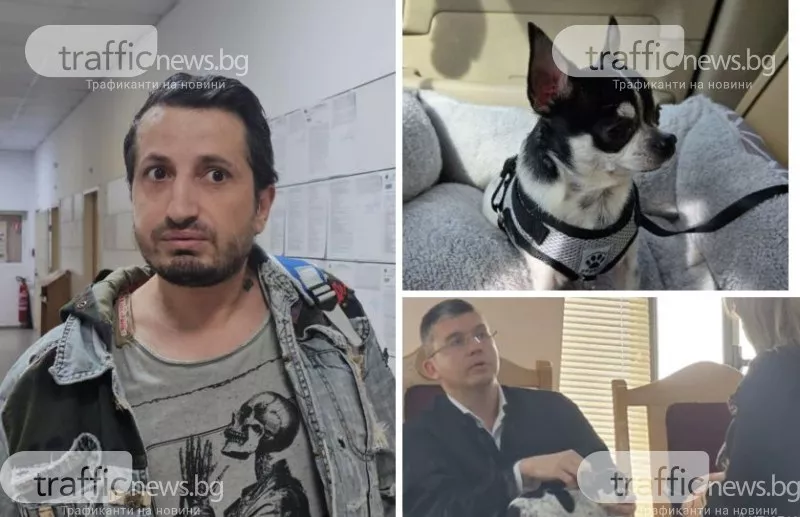 Връщат кучето Мауси на собственика, съдът отмени и глобата на мъжа