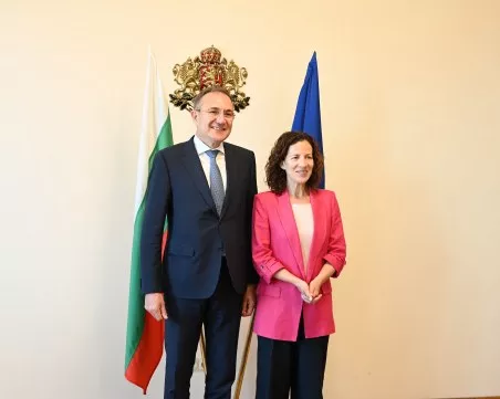 Гуцанов: Голямата тема е как да решим демографската криза, която засяга не само България