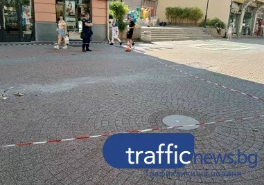 Кошер с пчели се стовари на Главната, полицията отцепи района около стълбите на Каменица
