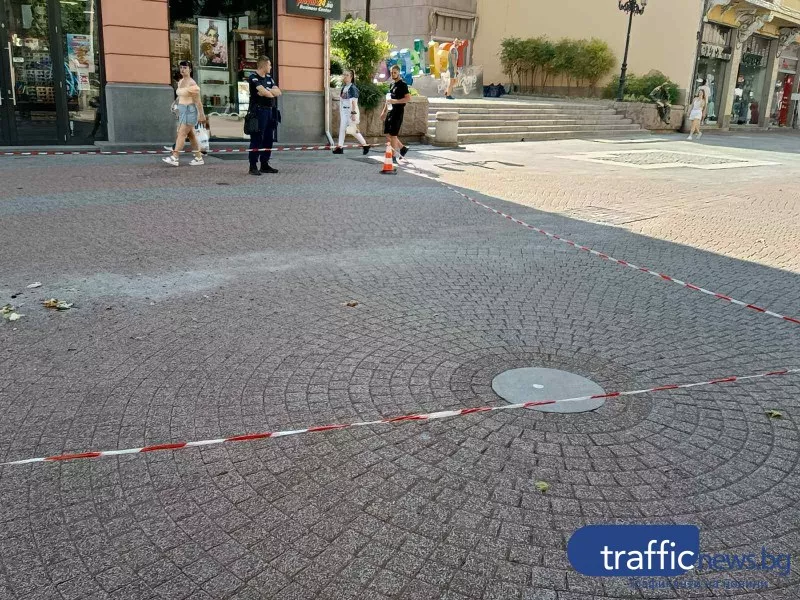 Рой пчели се стовари на Главната, полицията отцепи района около стълбите на Каменица