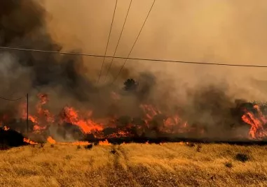Властите в Гърция обявиха извънредно положение на остров Хиос заради пожари  Ще бъдат