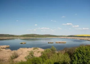 Прецедент! Нивото на Сребърна е ниско, застрашени са част от редките видове