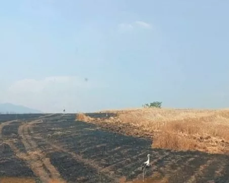 Огнена стихия унищожи над 400 декара ниви с пшеница в Ямболско