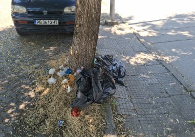 Чистотата след работата на Чистота