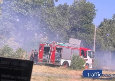 Детска игра подпали част от Младежки хълм
