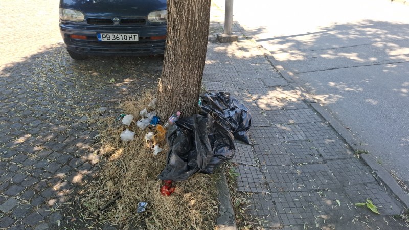 Чистотата след работата на