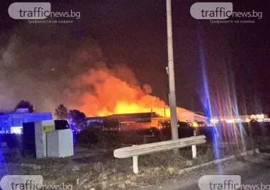 Два пожара пламнаха в Югозападна България, близо са до пътни артерии