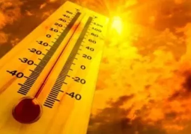 Полицията в Каталуния съобщи за трагичен инцидент — двегодишно дете