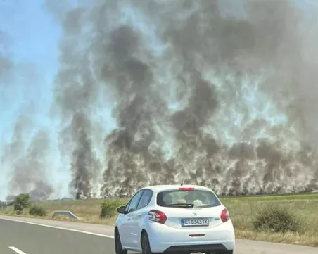 Пожар край бензиностанция на АМ 