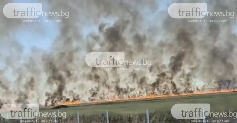 Голям пожар пламна на АМ „Тракия”, огънят е близо до бензиностанция ВИДЕО