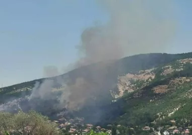 Голям пожар бушува в Кърджалийско, огънят се разраства