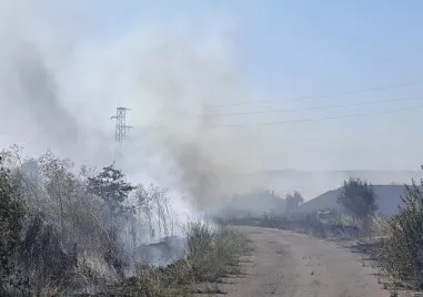 Голям пожар бушува в района на летището в Бургас, 4 екипа се борят с пламъците