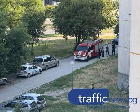 Сухи треви избухнаха в пламъци в Тракия