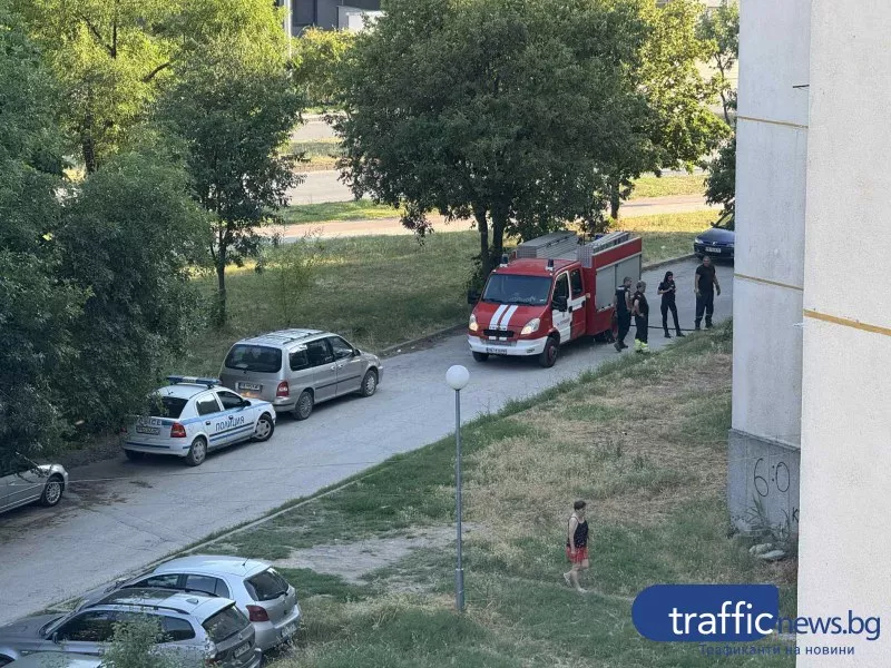 Сухи треви избухнаха в пламъци в Тракия