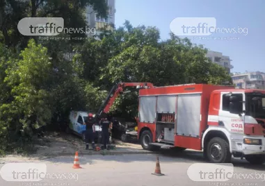 Дърво падна върху няколко автомобила на ул Пере Тошев в