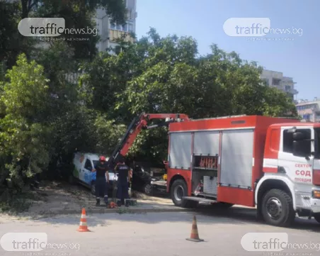 Дърво падна върху няколко коли в Кючука