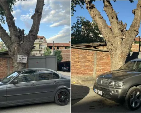 След публикация на TrafficNews: Премахнаха знака, заблуждавал шофьори близо 10 години в Кършияка