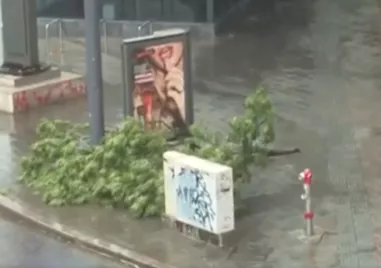 Буря придружена от мощен вятър и проливен дъжд причини сериозни щети в