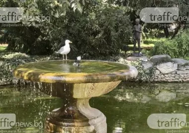 Службата за климатични промени  Коперник посочва че тази година в