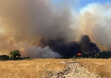 Задействаха системата BG Alert заради пожар във вина зона Отдих на