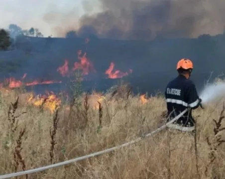 Голям пожар бушува до село край Хисаря, прекъснато е електрозахранването