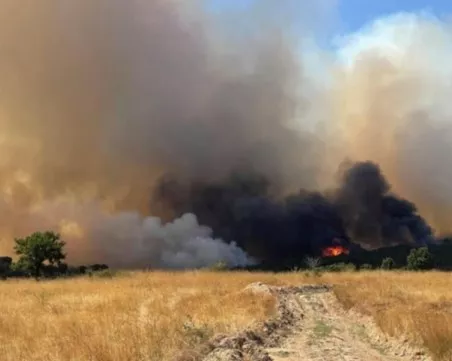 Задействаха системата BG-Alert заради пожар в Пловдивско
