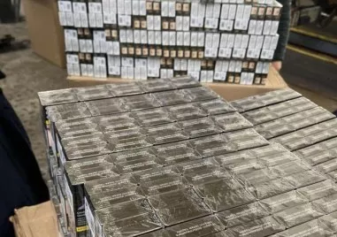Подземната фабрика за цигари край Хасково води към контрабандния канал на Паскал, разбит в Пловдив