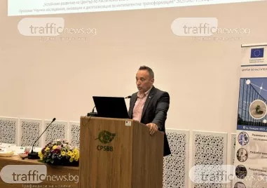 Затлъстяването е новата глобална пандемия Този проблем засяга милиони хора