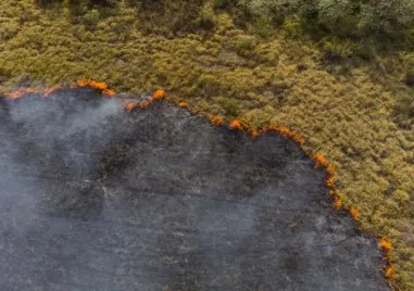 Пожарът над река Илийна в Природен парк Рилски манастир който наскоро