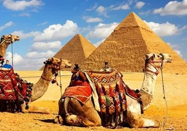 Очаква се населението на Египет да достигне 108 милиона души