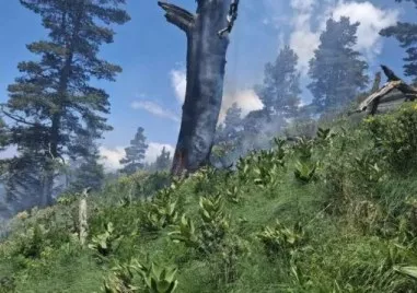 Горският пожар в Природен парк Рилски манастир който беше локализиран