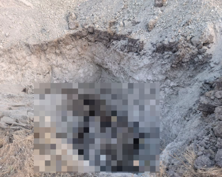 Загробват умъртвени болни от шарка животни край водоизточник и параклис с лековита вода в Първомайско