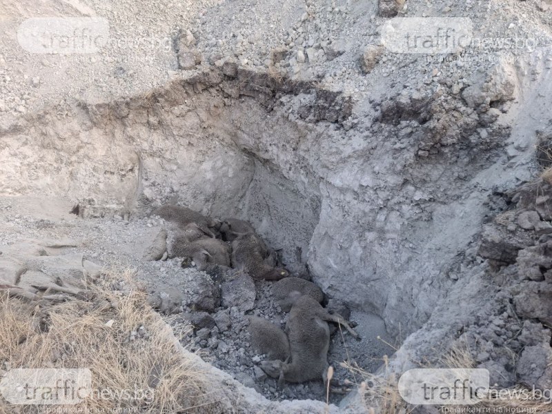 Общинският съветник от групата на Браво Пловдив!“ Яна Димитрова повдигна