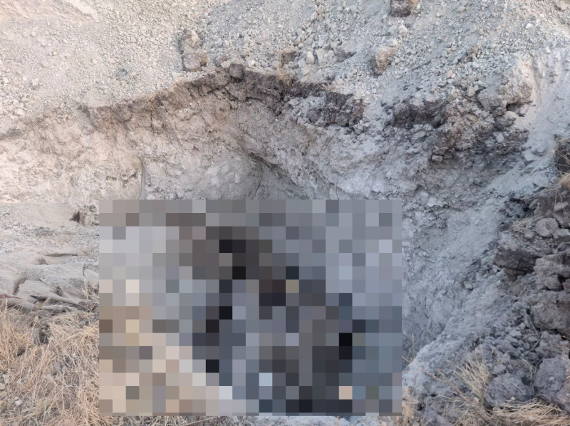 Зaгробват умъртвени болни от шарка животни край водоизточник и параклис с лековита вода в Първомайско