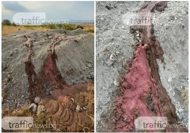 Кървава маса изтича от мястото, където заровиха над 400 болни овце в Татарево – БАБХ засипа с още пръст