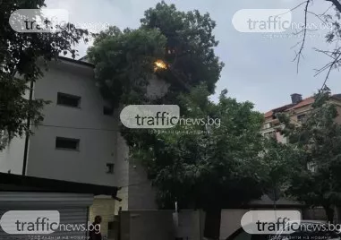 Огромно дърво се стовари върху фасата на 4 етажна къща в