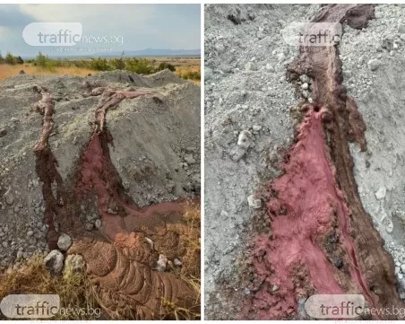 Кървава маса изтича от мястото, където заровиха над 400 болни овце в Татарево – БАБХ засипа с още пръст