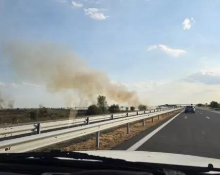 Сухи треви горят на метри от АМ „Тракия