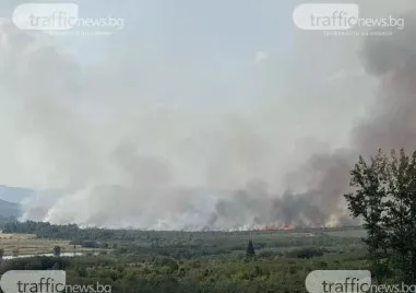 Все още не е напълно потушен големият пожар който избухна