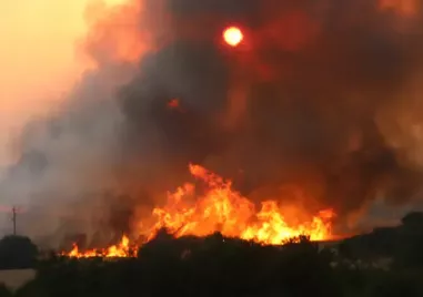 Пожарът край Костинброд се е разгорял и е тръгнал към