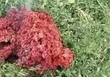 Изследванията на падналото от небето горящо меко тяло в частен