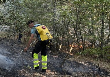 Спешно търсят доброволци за гасене на двата големи пожара в Пловдивско