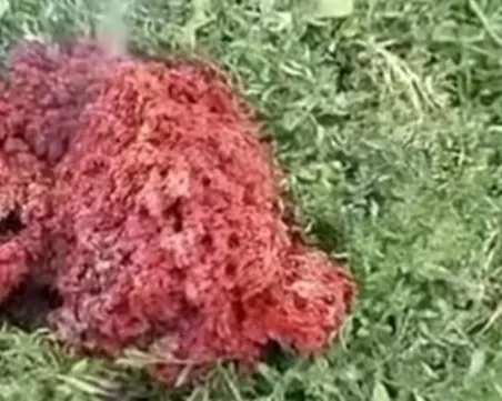 Отпадък от изкуствен спътник е падналото горящо тяло в двор в Якоруда