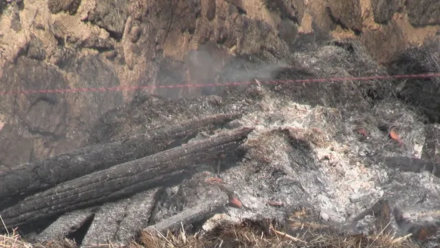 Повече от 20 крави загинаха при пожар в кравеферма край свищовско село