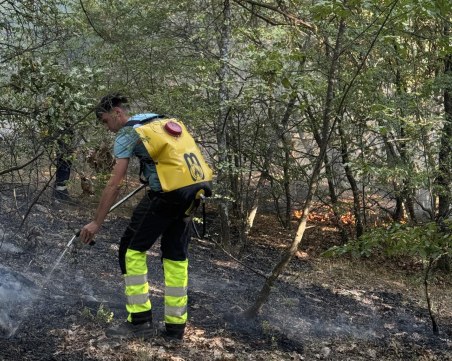 Спешно търсят доброволци за гасене на двата големи пожара в Пловдивско