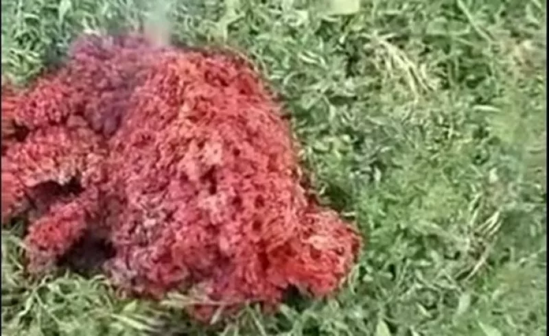 Отпадък от изкуствен спътник е падналото горящо тяло в двор в Якоруда