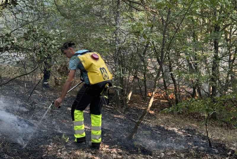 Спешно търсят доброволци за гасене на двата големи пожара в Пловдивско
